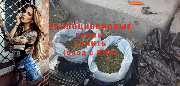 ПСИЛОЦИБИНОВЫЕ ГРИБЫ Ростов