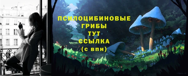 ПСИЛОЦИБИНОВЫЕ ГРИБЫ Ростов